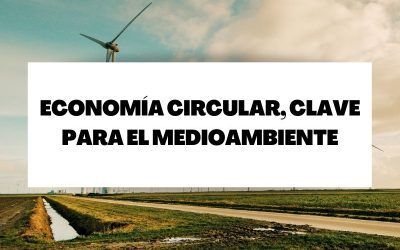 Economía circular, clave para el medioambiente