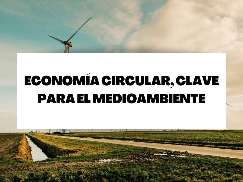 Economía circular, clave para el medioambiente